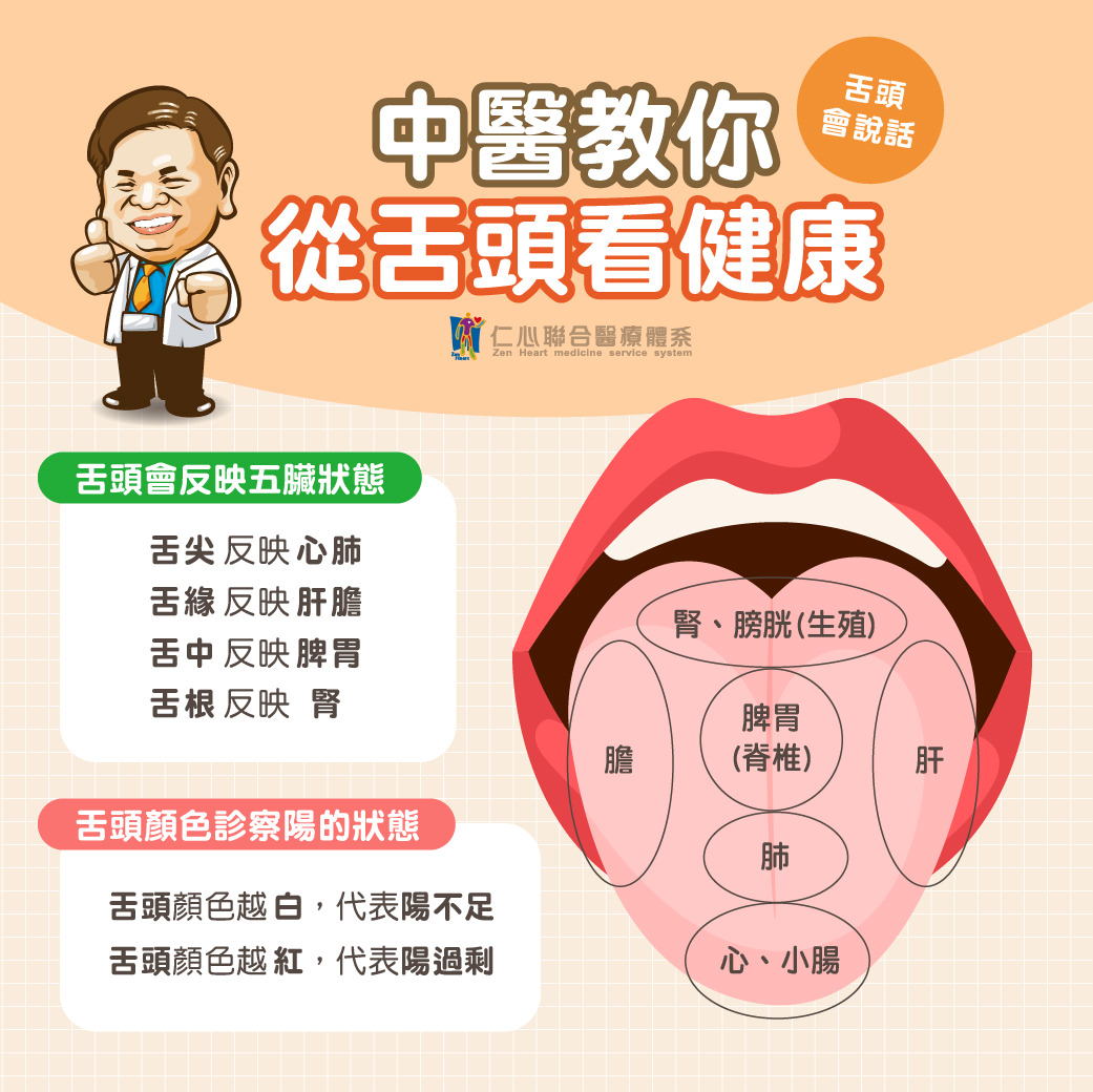 中医认为，舌头能反映身体健康状况，舌头不同部位对应着五脏的状态：舌尖反映心肺，舌缘反映肝胆，舌中反映脾胃，舌根反映肾。舌头的颜色也能诊断阳气情况，颜色越白代表阳气不足，颜色越红则可能是阳气过剩。观察舌头变化，有助于及早发现健康问题，进行针对性的调理和改善。