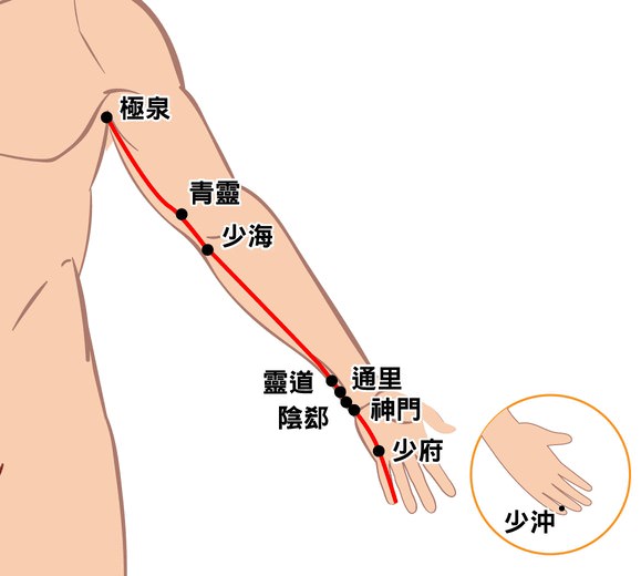 手少陰心經
