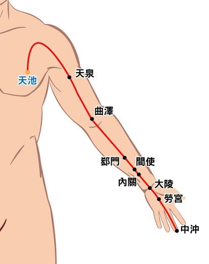 手厥陰心包經