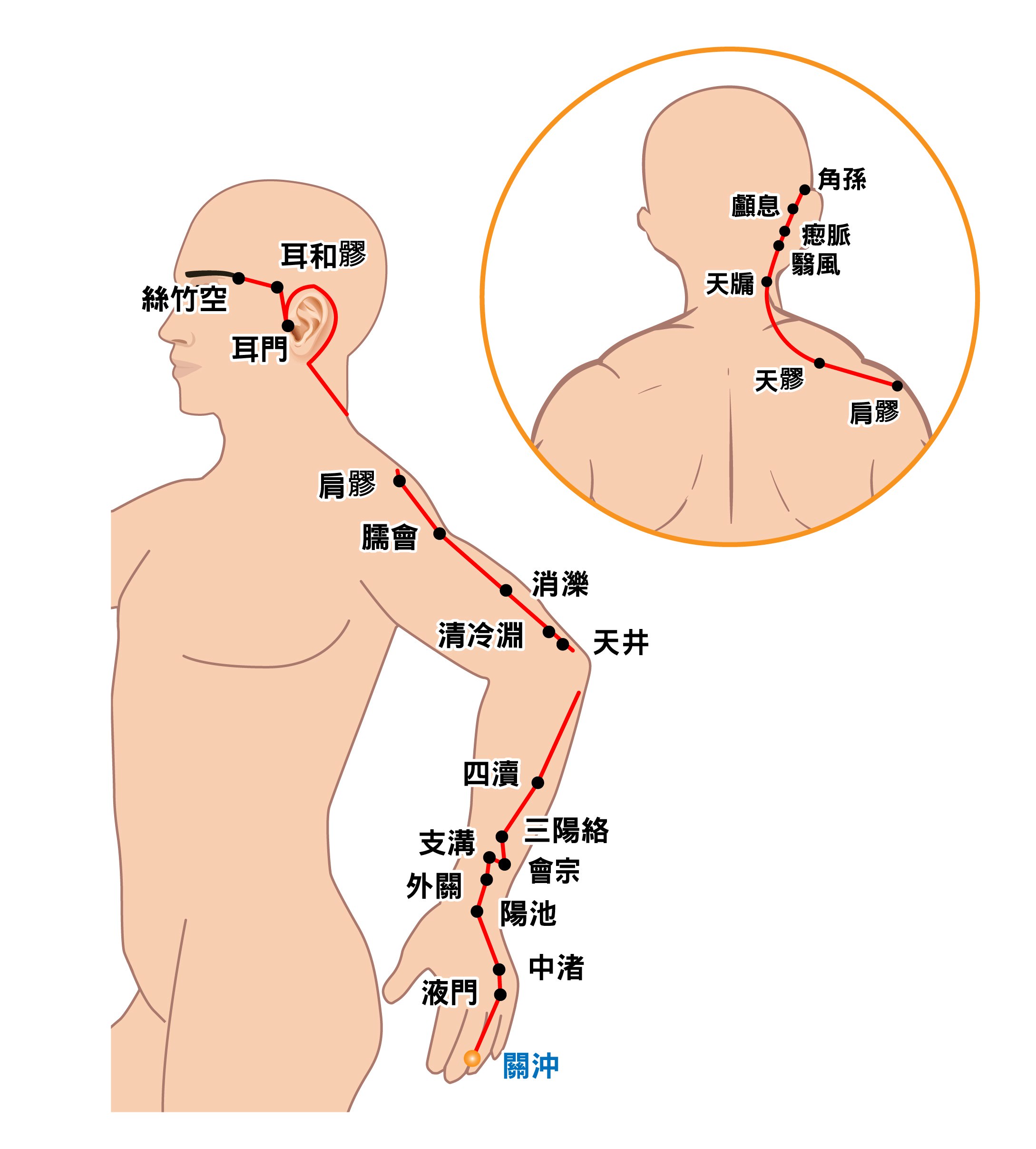 手少阳三焦经