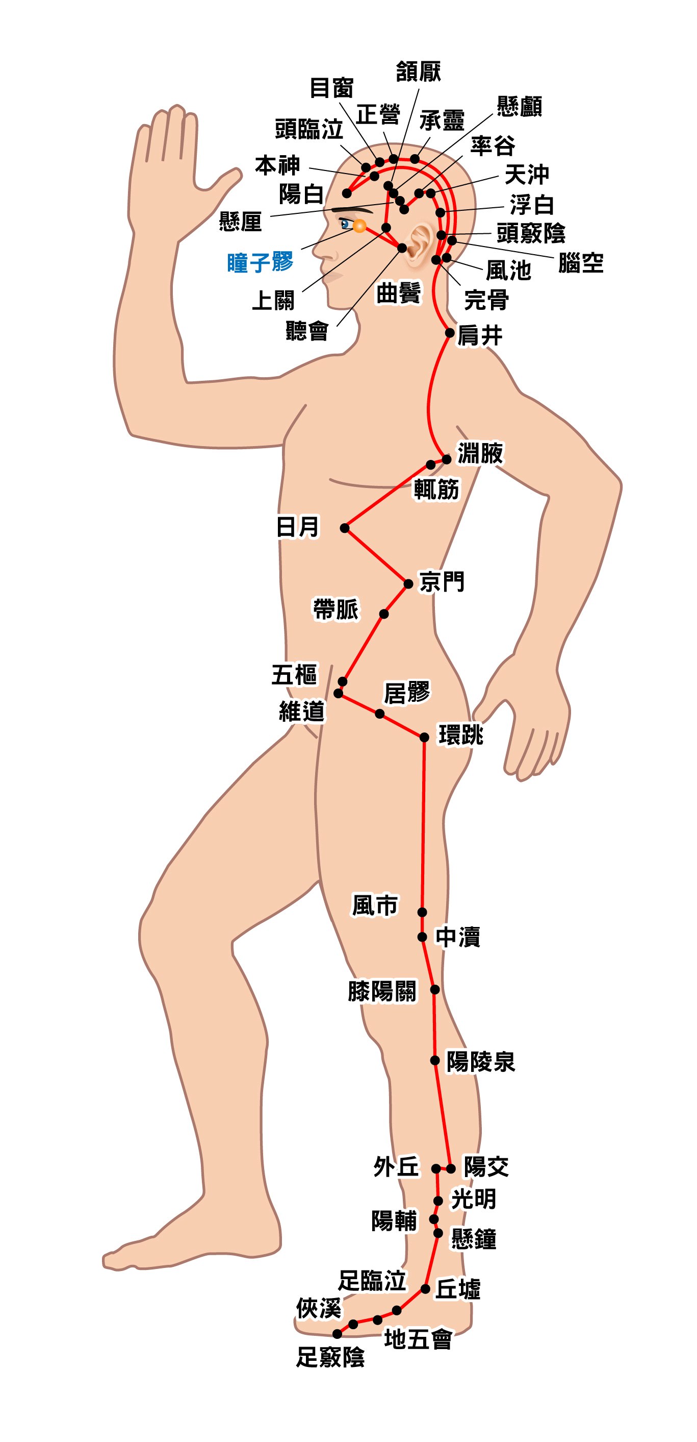 足少阳胆经
