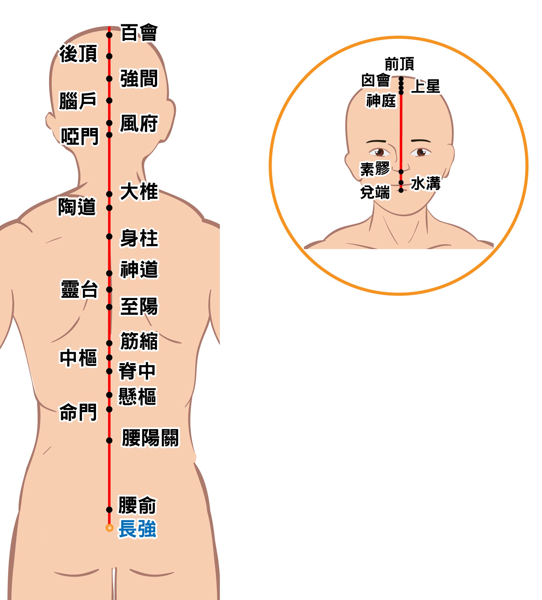 督脉